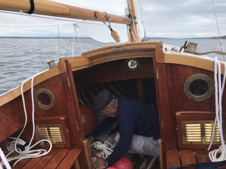 murrelet kees 2 768x576