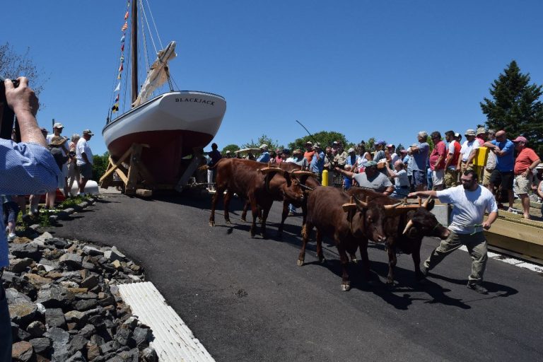 sail power and steam museum 15 768x512
