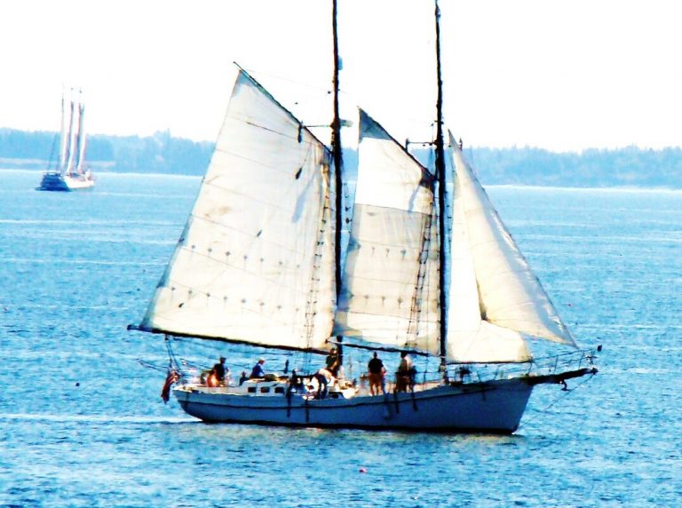 sail power and steam museum 5 768x572