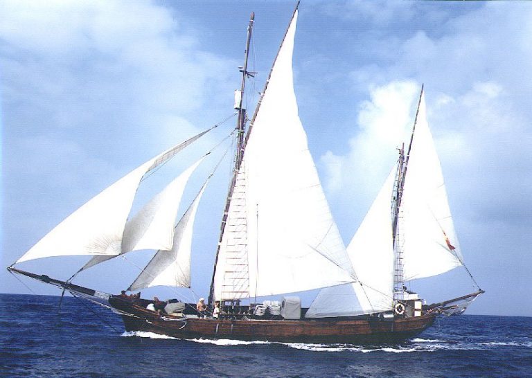 verdera.jpg 820.0x583.0 q85 subsampling 2 768x546