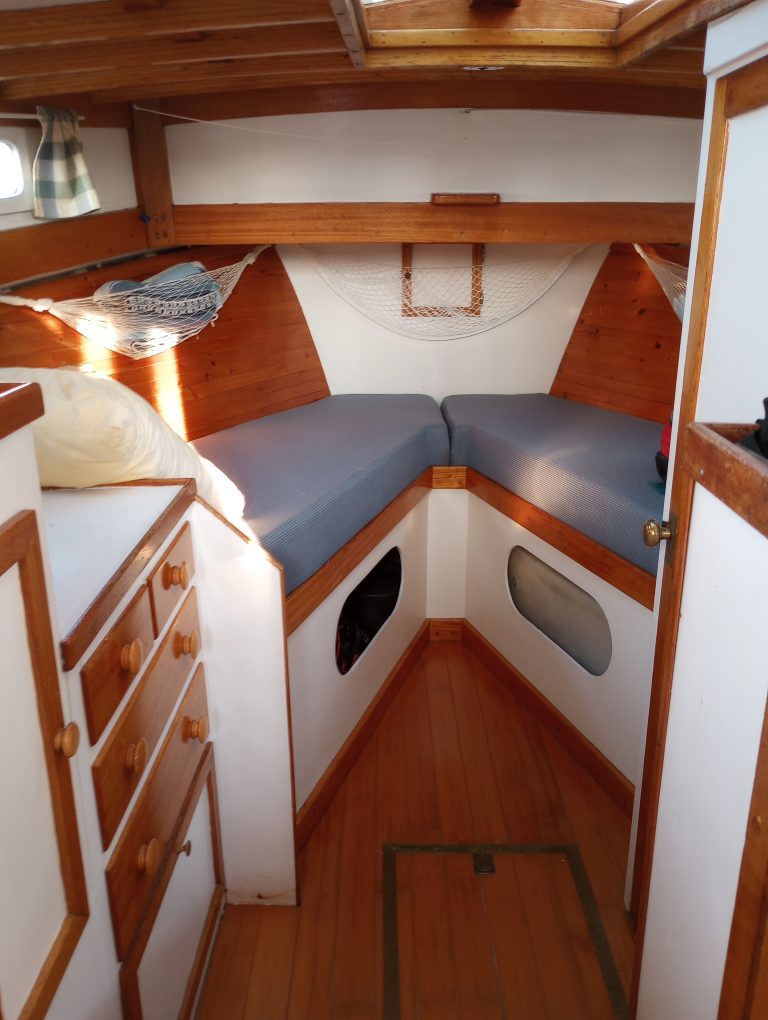 IMG 20250609 071950327 768x1020