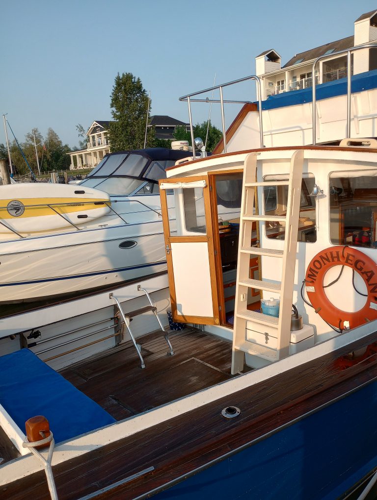 IMG 20250609 072707255 HDR 768x1020