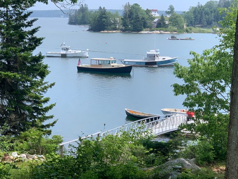 0FF67C93 A73F 44D8 9E9A 7FAEE4BFD2A2photo 768x576