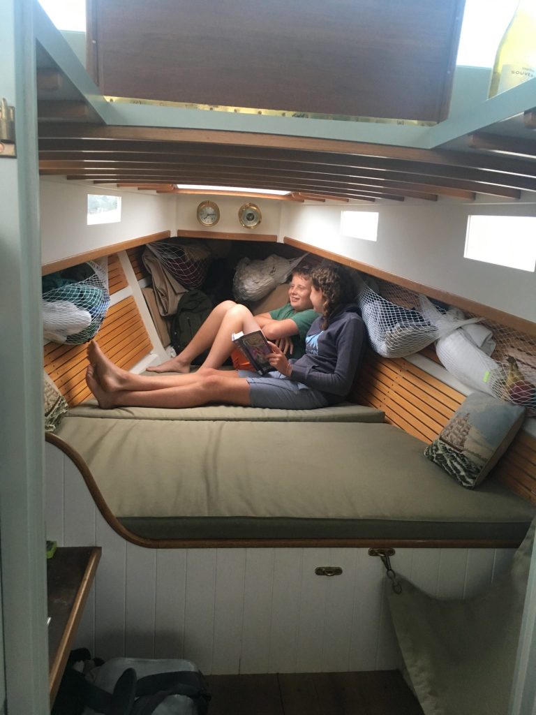 IMG 4127 1536x2048 1 768x1024