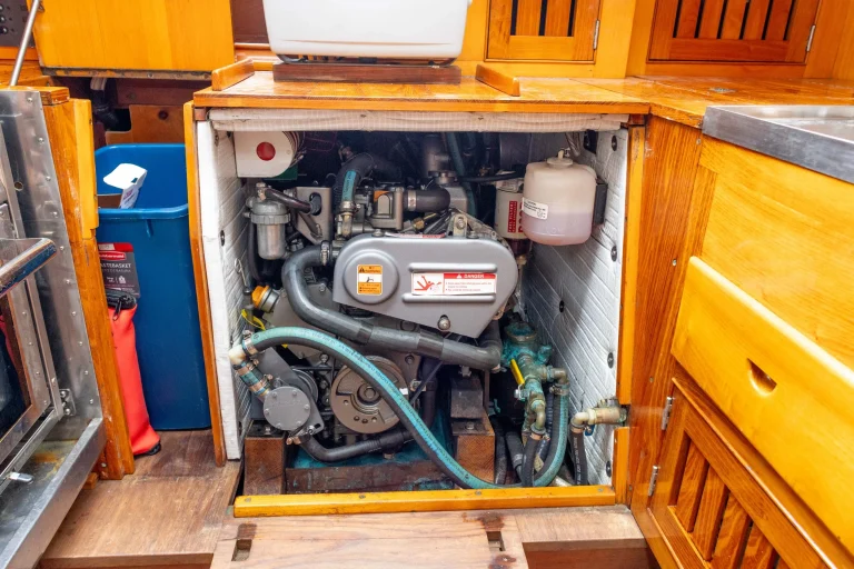 250710 WINNIE CONCORDIA RICKETSON 5047.jpg 768x512