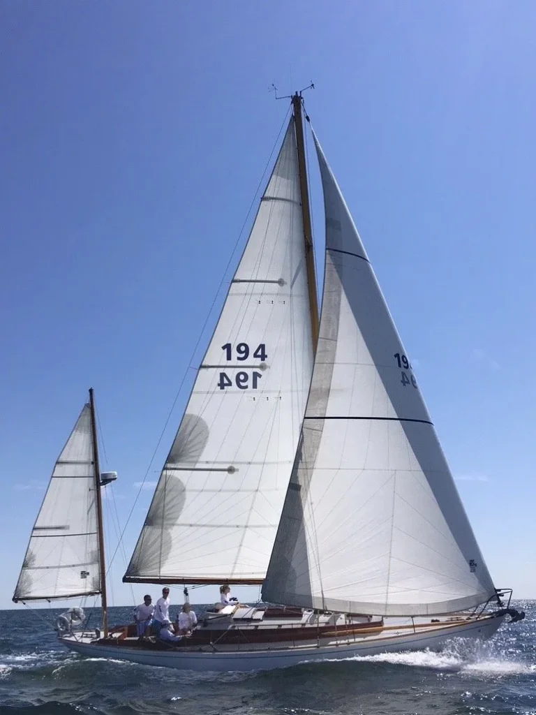 IMG 0028 1.jpg 768x1024