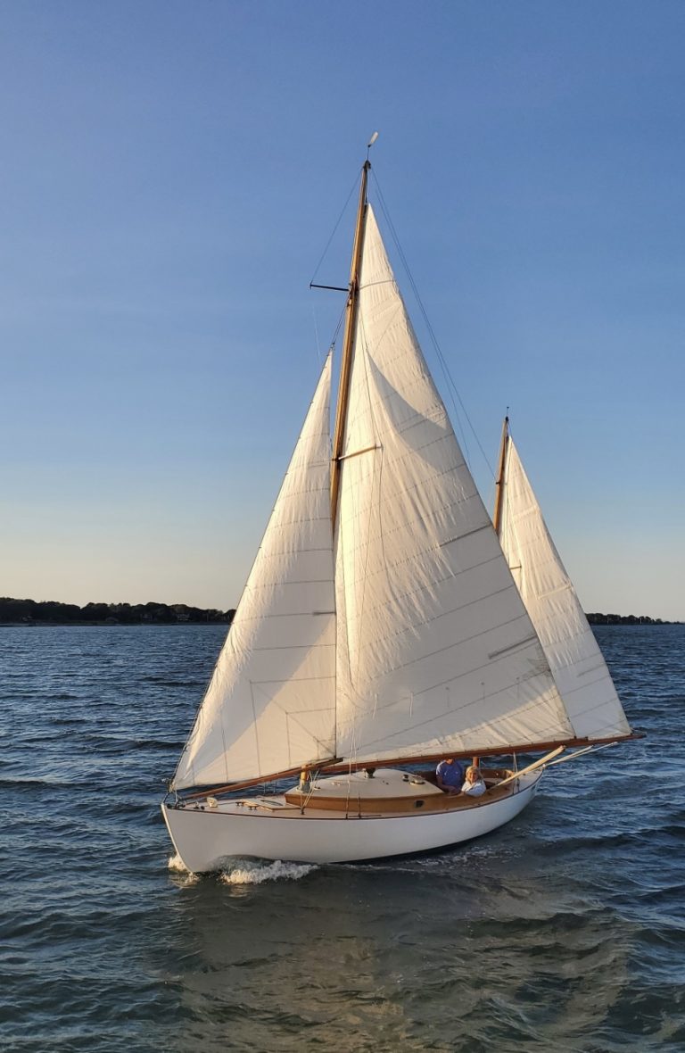 Resized 20230831 184538 768x1180