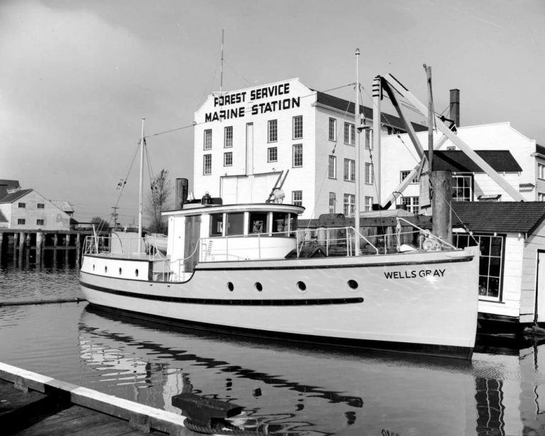 na 09317 141 768x614