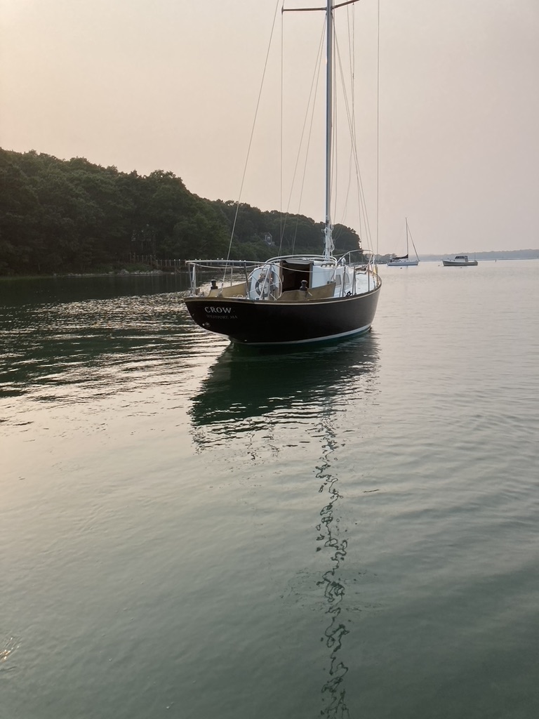 2DD4CC20 3D15 4652 8978 DD0E6EBEB21A 1 105 c