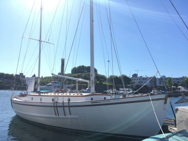 IMG 7645 Featured 768x576