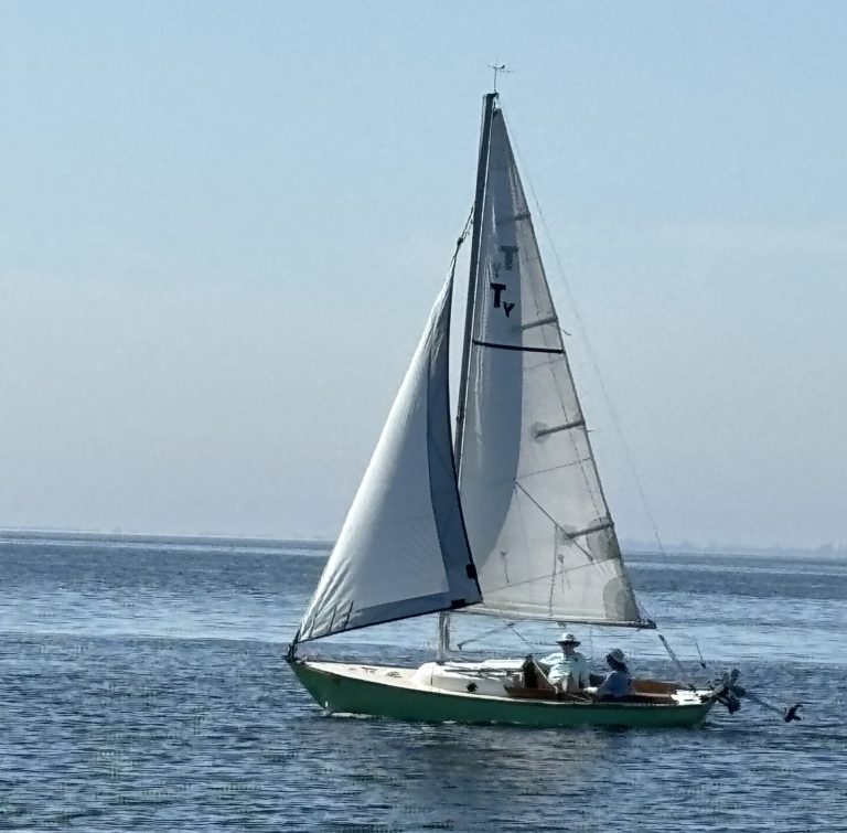 Ellen White Photo 768x755